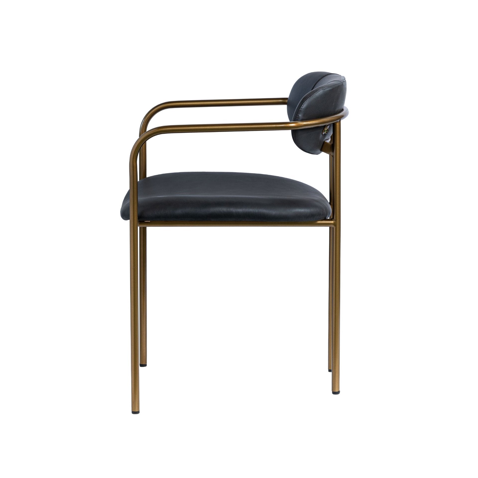 Parker Dining Chair, Set of 2-Dining Chairs-StyleMeGHD