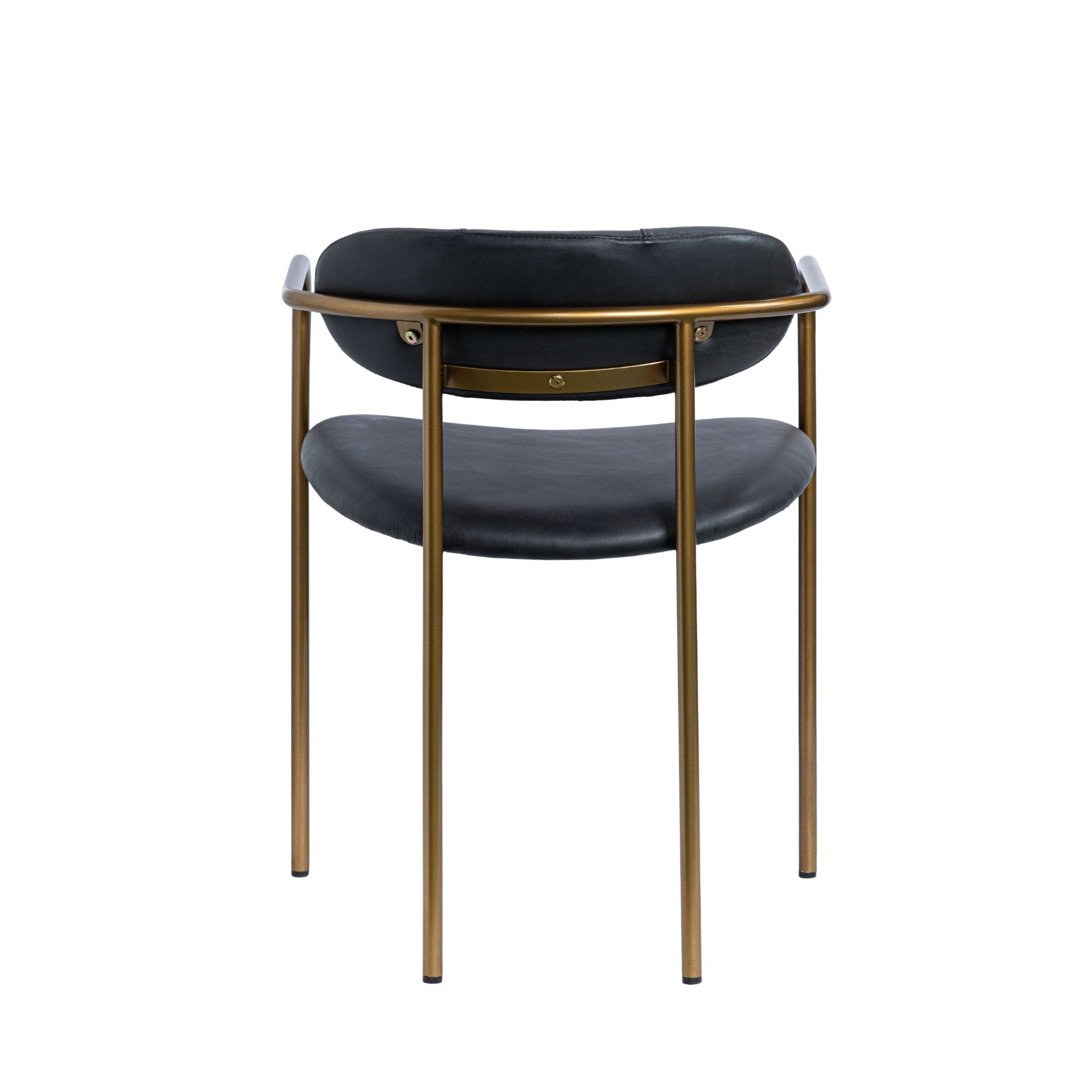Parker Dining Chair, Set of 2-Dining Chairs-StyleMeGHD