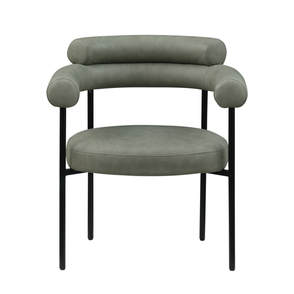 Blaine Dining Chair, Set of 2-Dining Chairs-StyleMeGHD