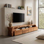 Modern TV Stand With Storage For Living Room