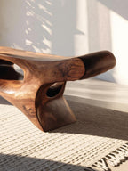Artistic Bench For Living Room Or Entryway