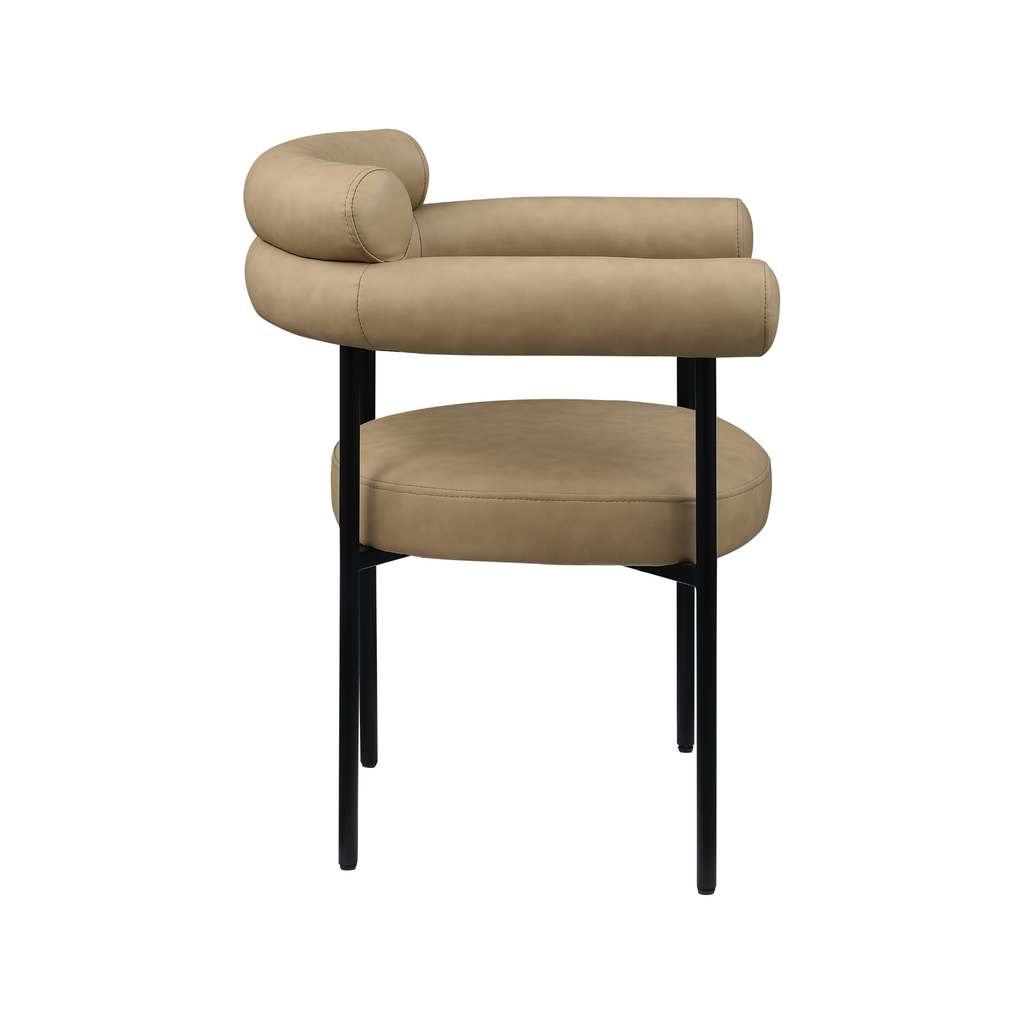 Blaine Dining Chair, Set of 2-Dining Chairs-StyleMeGHD