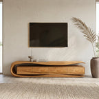 Modern Organic TV Console For Living Room Interior