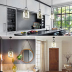Botanist Crystal Cloche Pendant Light