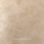 Close-up of beige leather texture with 'Ferragamo Blush Leather' text.