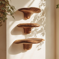 Modern Handcrafted Live Edge Mushroom Shelf For Living Room Decor