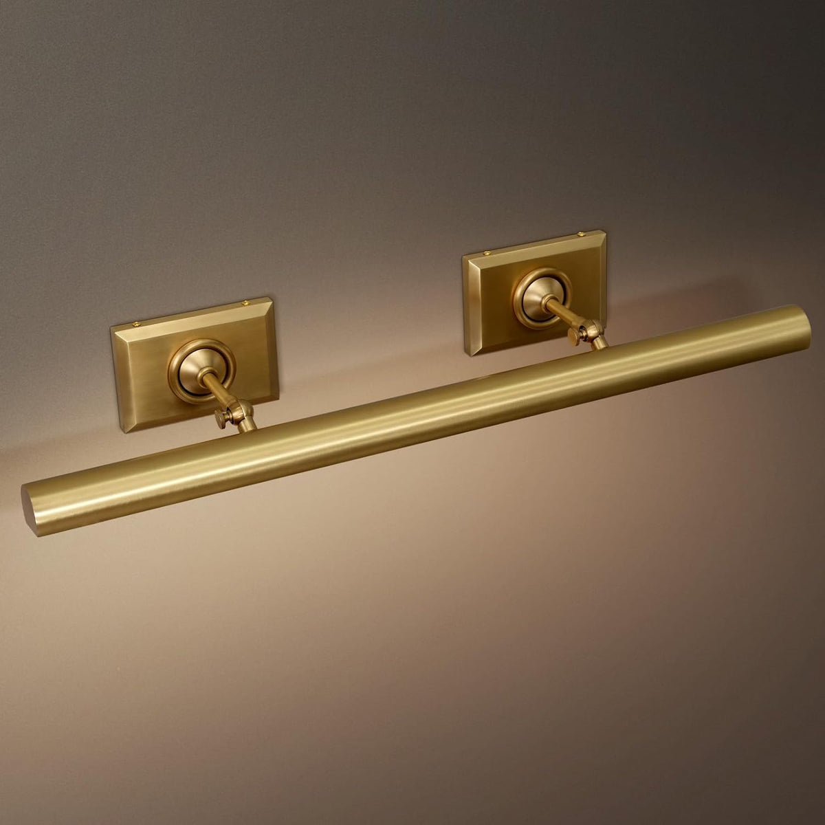 Anite Picture Light - Antique Brass30″ Wcasivra