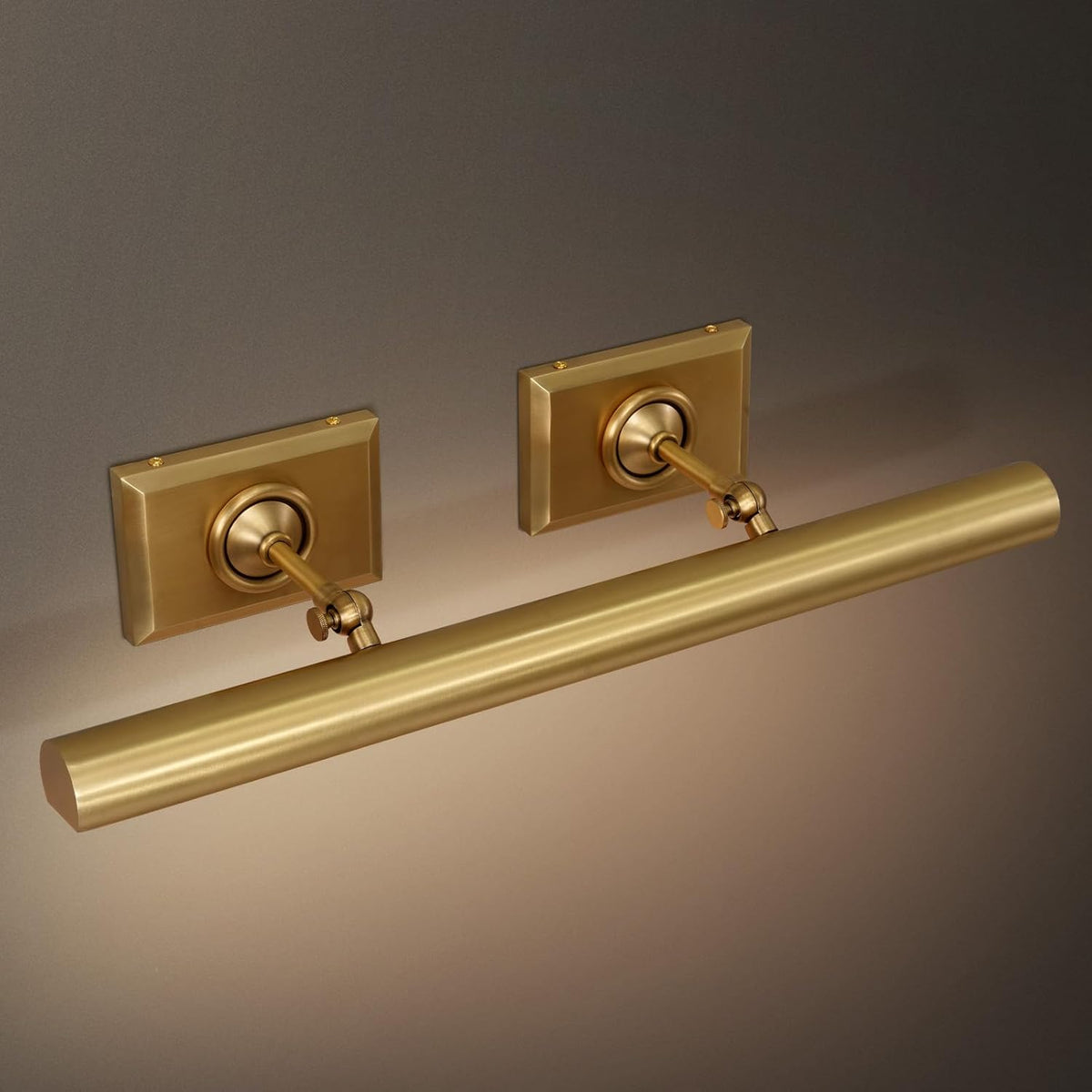 Anite Picture Light - Antique Brass24″ Wcasivra