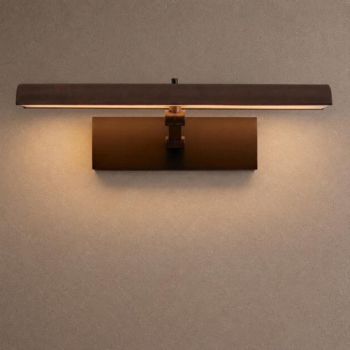 Arlo Picture Light Sconce - 24"casivra