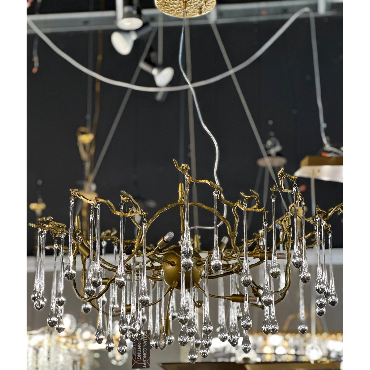 Dawn Teardrop Branch Brass Round Chandelier - 26" diameterClear Glasscasivra