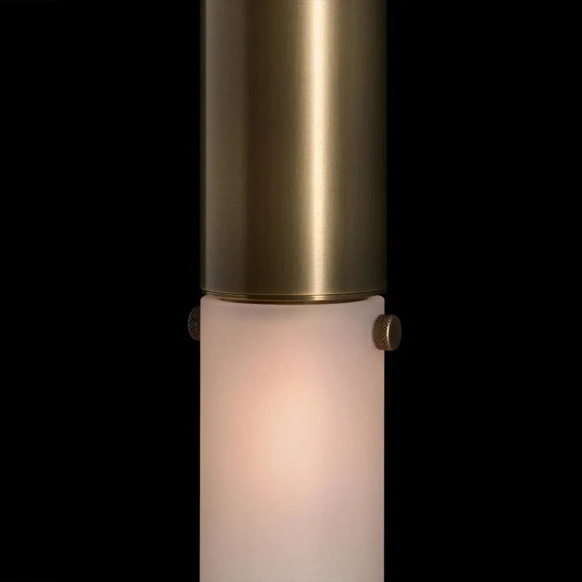 Horsehair Wall Sconce - Aged BrassJet Blackcasivra
