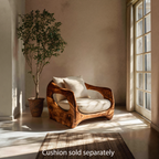 Minimalist Organic Lounge Seating For Living Room Interiors
