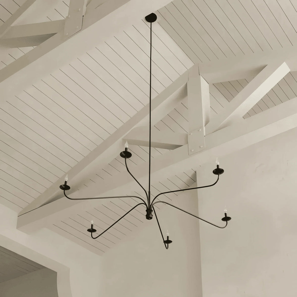 Philomena Chandelier - 70''Blackcasivra