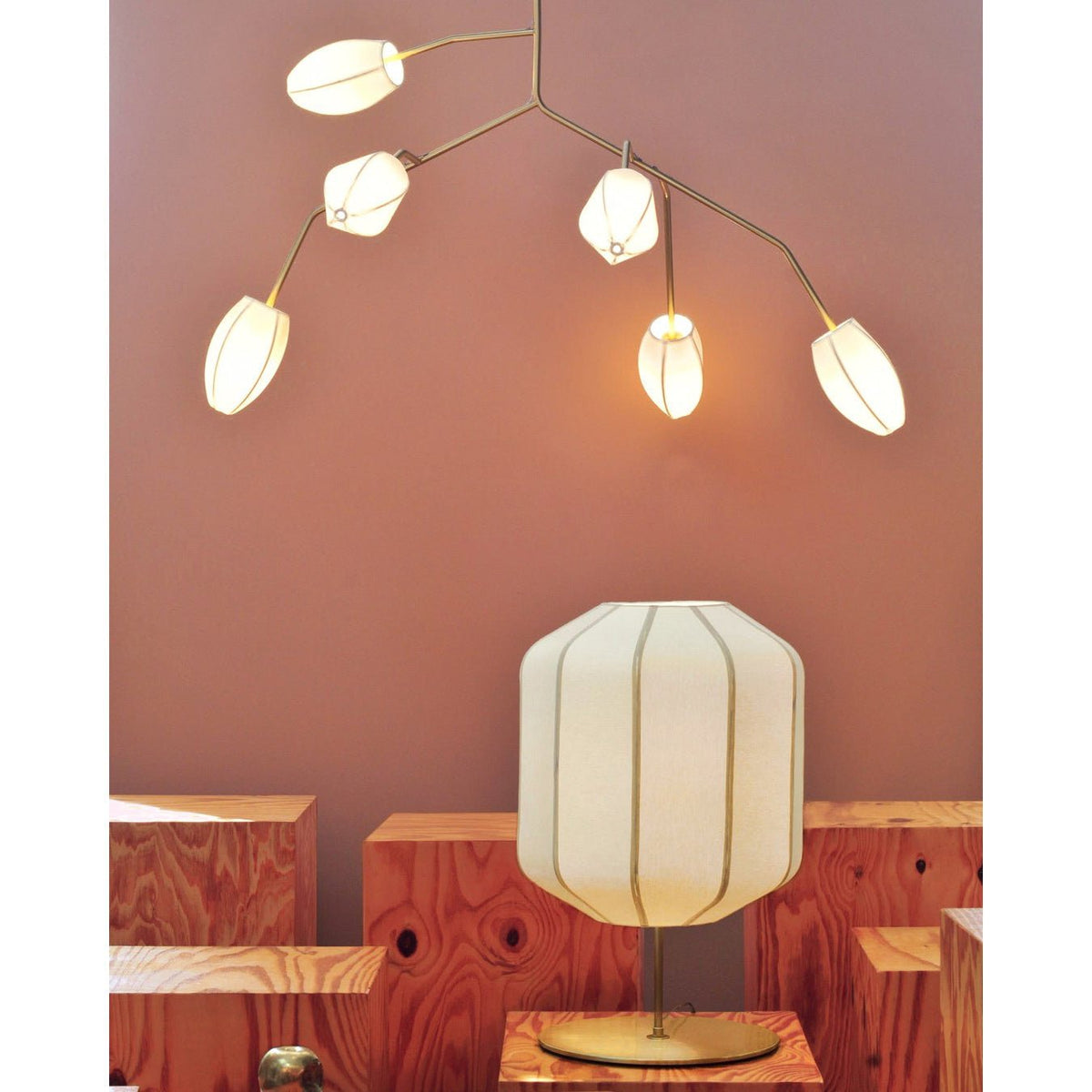 Sacura Chandelier - 6 lights L 49.2″ x W 39.4″ x H 43.3″Brass & Whitecasivra