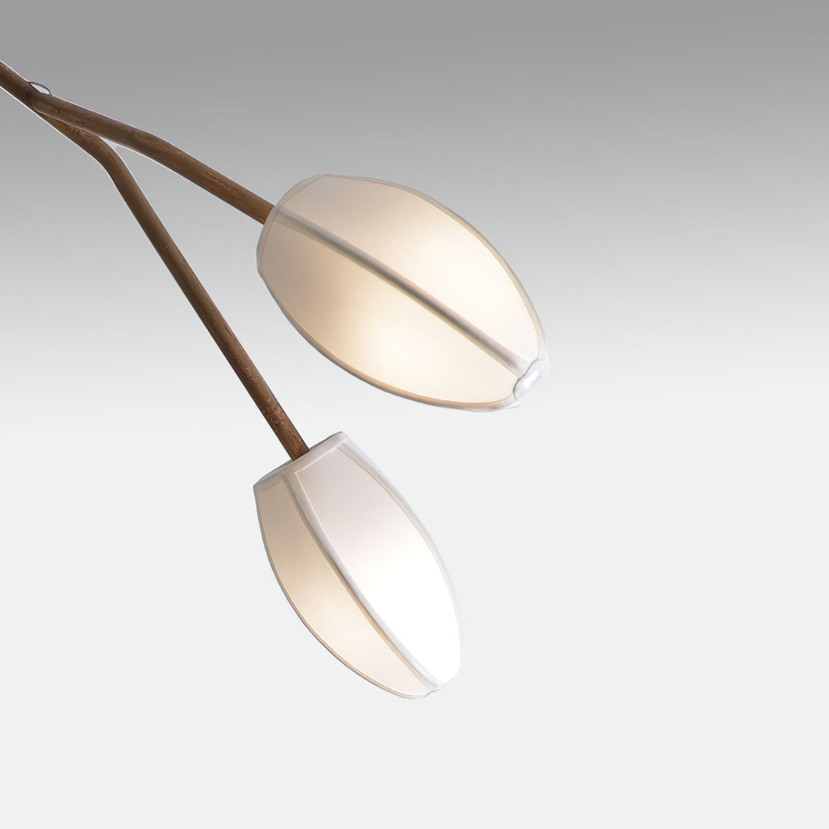 Sacura Chandelier - 6 lights L 49.2″ x W 39.4″ x H 43.3″Brass & Whitecasivra
