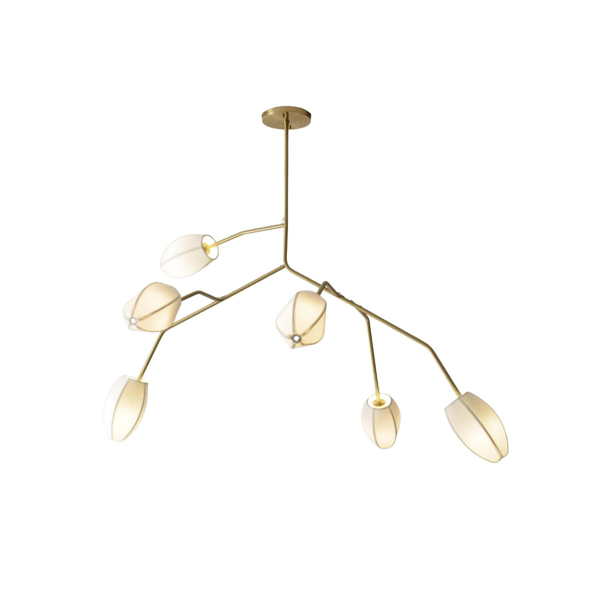 Sacura Chandelier - 6 lights L 49.2″ x W 39.4″ x H 43.3″Brass & Whitecasivra