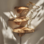 Farmhouse Solid Wood Mushroom Shelf For Bedroom Decor And Furniture Design