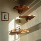 Farmhouse Wooden Live Edge Mushroom Shelf For Living Room Interior Decor