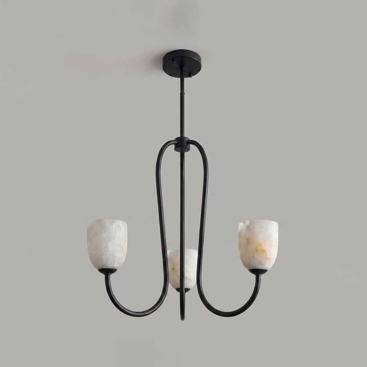 Trillium Alabaster Chandelier - Φ 15.7″ × H 8.7″Blackcasivra